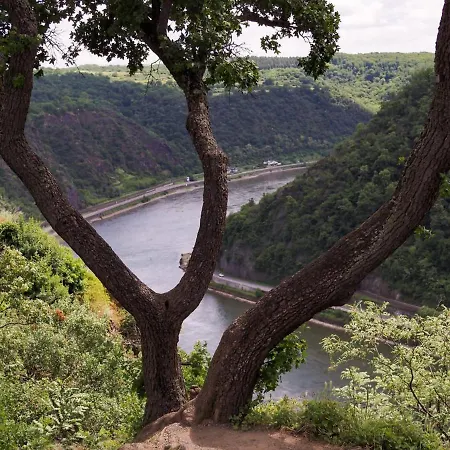 Rheinspaziert Апартаменты Dellhofen