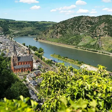 Rheinspaziert Dellhofen